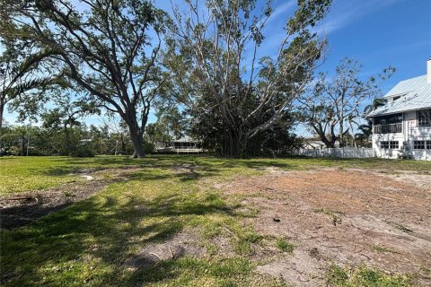 Land in Palmetto, Florida № 1651877 - photo 4