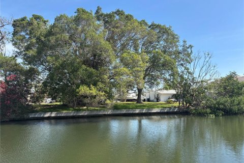Land in Palmetto, Florida № 1651877 - photo 1