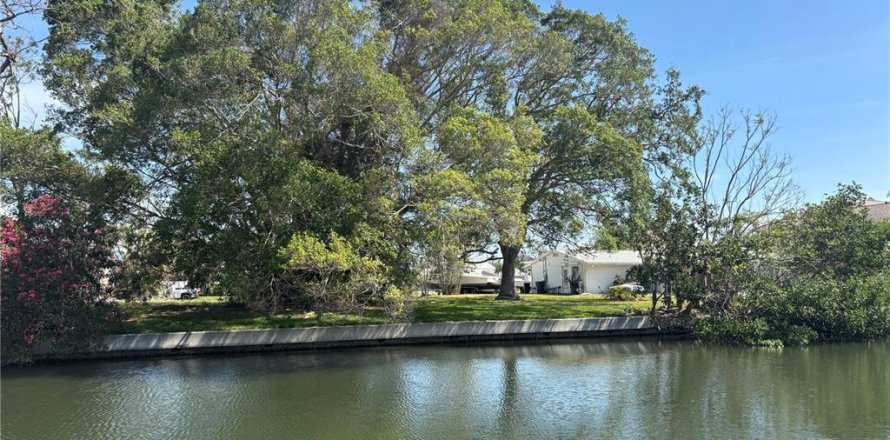 Land in Palmetto, Florida № 1651877