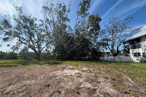 Land in Palmetto, Florida № 1651877 - photo 3