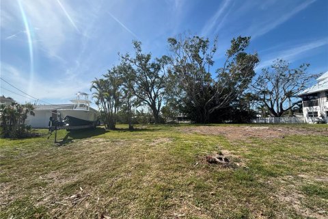 Land in Palmetto, Florida № 1651877 - photo 2