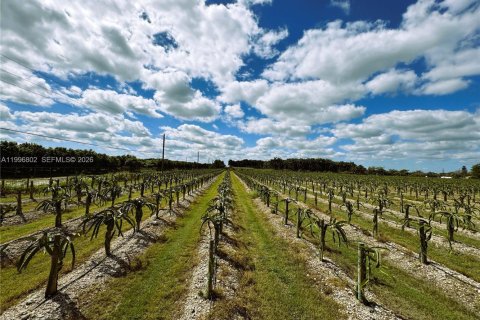 Коммерческая недвижимость в Майами, Флорида № 2058563