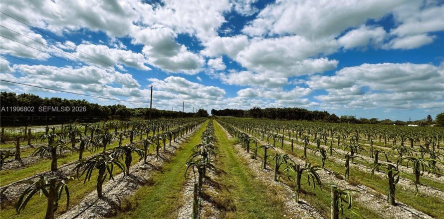 Коммерческая недвижимость в Майами, Флорида № 2058563