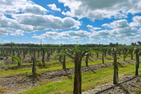 Купить коммерческую недвижимость в Майами, Флорида № 2058563 - фото 5