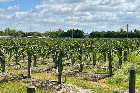 Купить коммерческую недвижимость в Майами, Флорида № 2058563 - фото 3