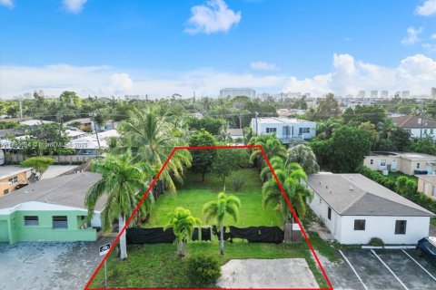Land in Fort Lauderdale, Florida № 1863733 - photo 3