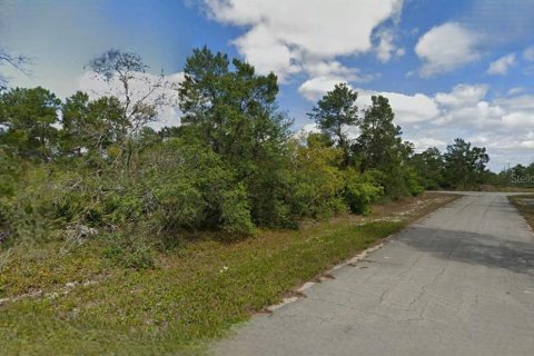 Land in Lake Placid, Florida № 2165303 - photo 3