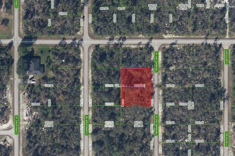 Land in Lake Placid, Florida № 2165303 - photo 4