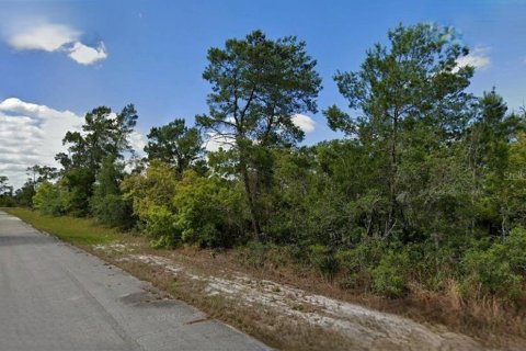 Land in Lake Placid, Florida № 2165303 - photo 2