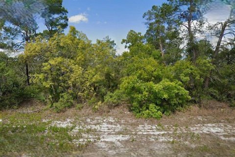 Land in Lake Placid, Florida № 2165303