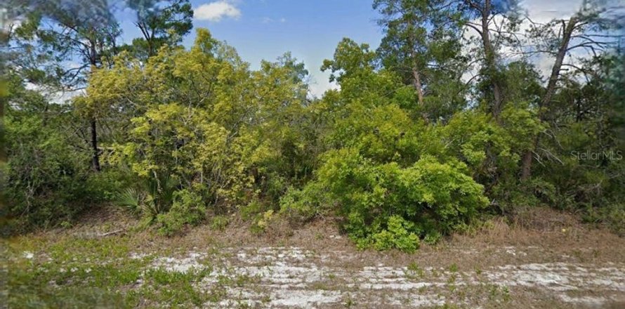 Land in Lake Placid, Florida № 2165303