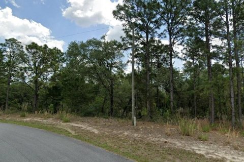 Land in Dunnellon, Florida № 2162760