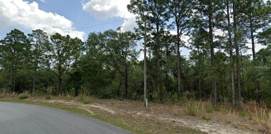 Land in Dunnellon, Florida № 2162760