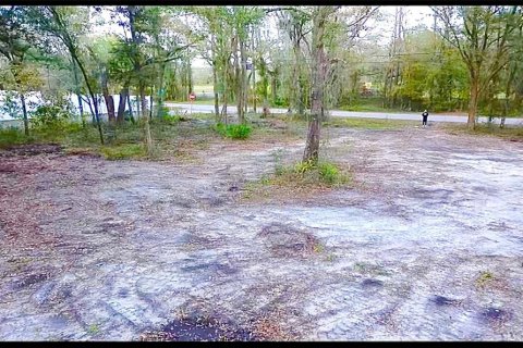 Terrain à vendre à Thonotosassa, Floride № 1784272 - photo 4