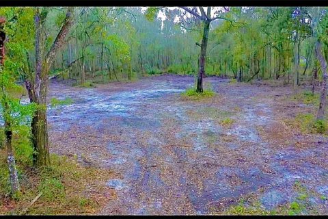 Terrain à vendre à Thonotosassa, Floride № 1784272 - photo 6