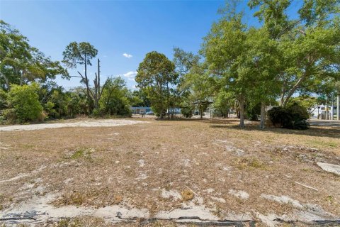 Land in Clearwater, Florida № 2093785 - photo 25