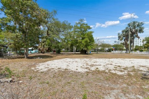 Land in Clearwater, Florida № 2093785 - photo 21