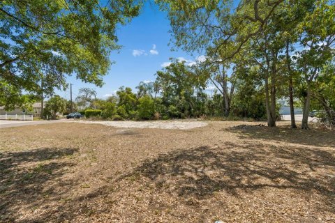 Land in Clearwater, Florida № 2093785 - photo 22