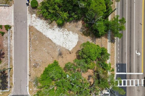 Land in Clearwater, Florida № 2093785 - photo 5
