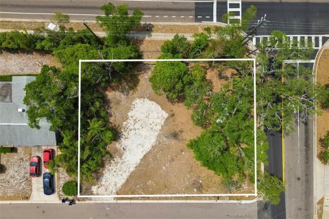 Land in Clearwater, Florida № 2093785 - photo 4