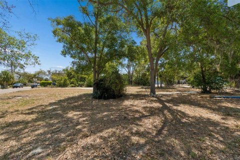 Land in Clearwater, Florida № 2093785 - photo 26