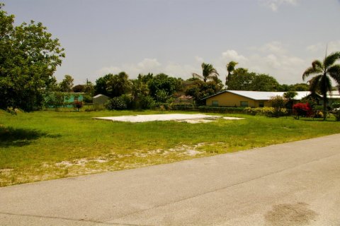Commercial property in Hobe Sound, Florida № 2247192 - photo 5
