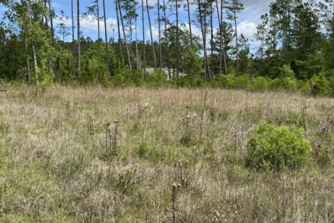 Land in Wewahitchka, Florida № 560513 - photo 1