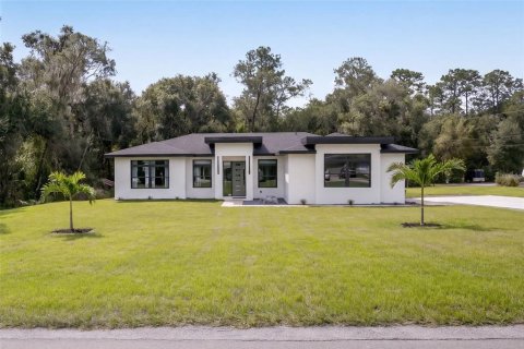 Villa ou maison à DeLand, Floride 3 chambres, 164.07 m2 № 2415057
