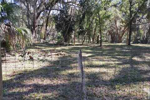 Land in Gainesville, Florida № 2104242 - photo 9