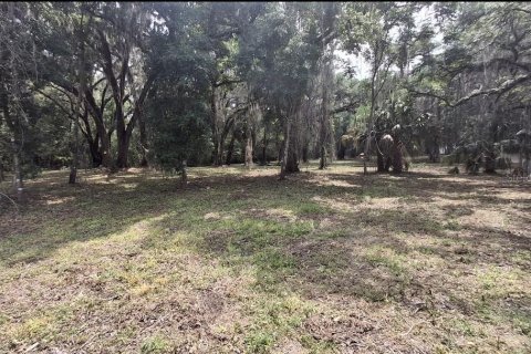 Land in Gainesville, Florida № 2104242 - photo 6