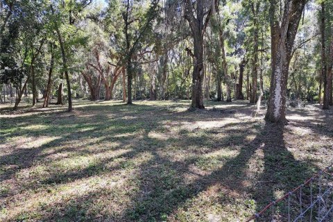 Land in Gainesville, Florida № 2104242 - photo 8