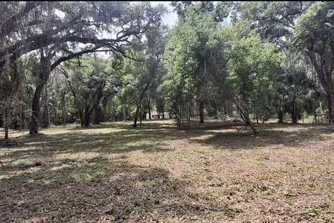 Land in Gainesville, Florida № 2104242 - photo 10