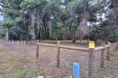 Land in Gainesville, Florida № 2104242 - photo 3