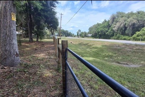 Land in Gainesville, Florida № 2104242 - photo 4