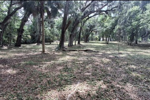 Land in Gainesville, Florida № 2104242 - photo 5