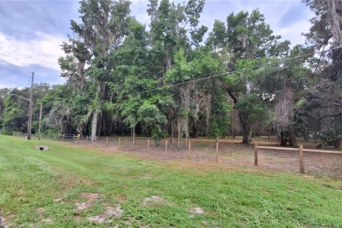 Terrain à Gainesville, Floride № 2104242