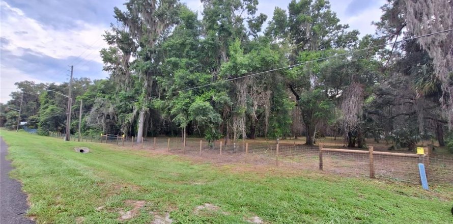 Land in Gainesville, Florida № 2104242