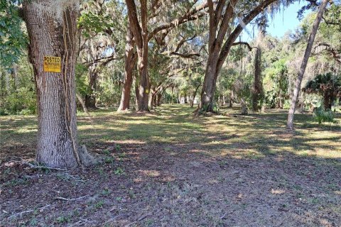 Land in Gainesville, Florida № 2104242 - photo 7