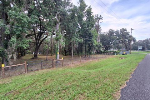 Land in Gainesville, Florida № 2104242 - photo 2