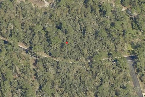 Terrain à vendre à Ocala, Floride № 1964218 - photo 1