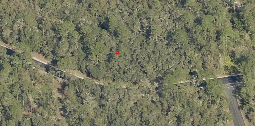 Terrain à Ocala, Floride № 1964218