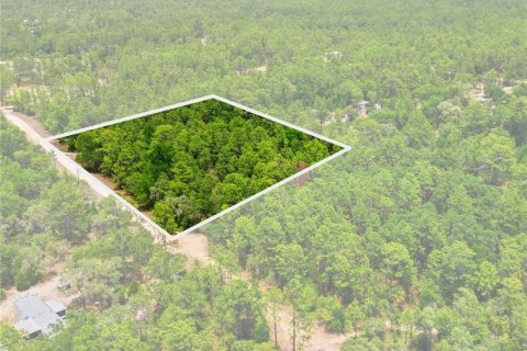 Terreno en Dunnellon, Florida № 2217869