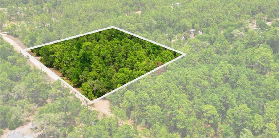 Terreno en Dunnellon, Florida № 2217869
