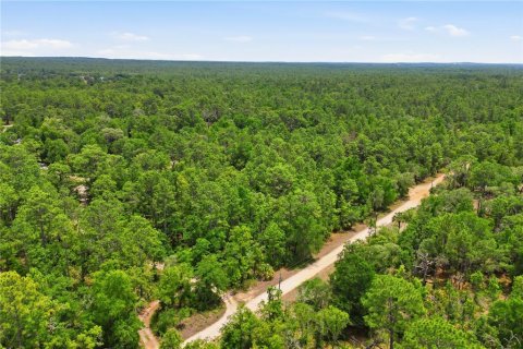 Terreno en venta en Dunnellon, Florida № 2217869 - foto 3