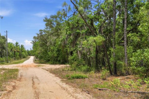 Terreno en venta en Dunnellon, Florida № 2217869 - foto 2