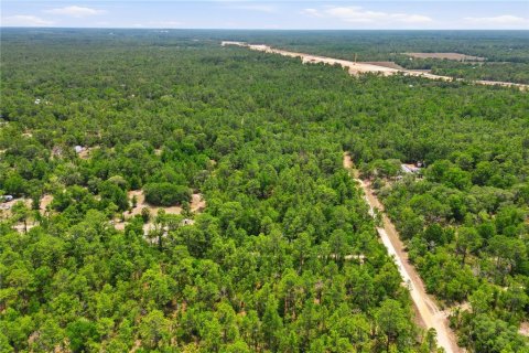 Terreno en venta en Dunnellon, Florida № 2217869 - foto 4