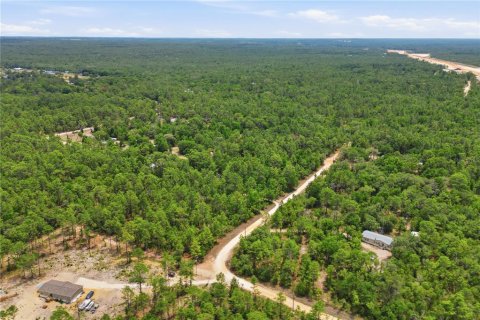 Terreno en venta en Dunnellon, Florida № 2217869 - foto 6