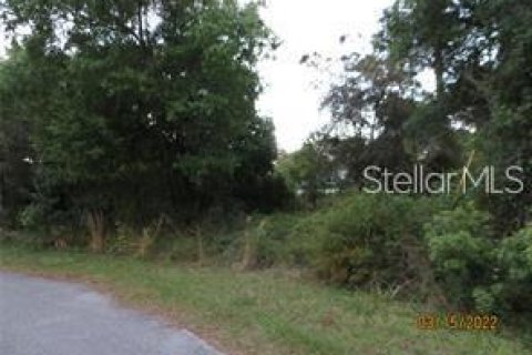 Land in North Port, Florida № 2161689 - photo 3