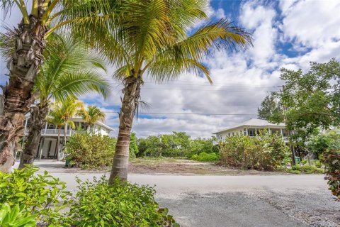 Terreno en venta en Placida, Florida № 1122442 - foto 5