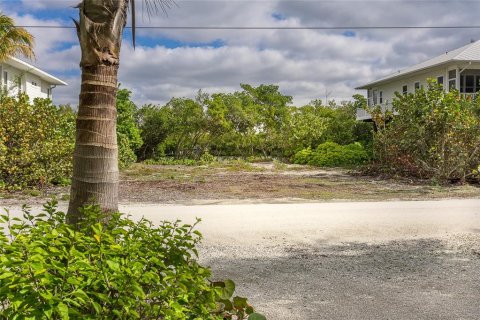 Terreno en venta en Placida, Florida № 1122442 - foto 6